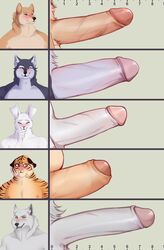 2021 absurd_res anthro big_penis blush canid canine canis chart chode chubby_penis closed_eyes comparing comparing_penis digital_media_(artwork) domestic_dog embarrassed erection felid foreskin furry genitals group hare haruki_koizumi hi_res humanoid_genitalia humanoid_penis husky jun_kobayashi keisuke_urushihara lagomorph leporid long_penis male mammal measuring measuring_penis naughty_face nipples nordic_sled_dog nyaruh pantherine partially_retracted_foreskin penis penis_lineup penis_size_chart penis_size_comparison penis_size_difference retracted_foreskin shiba_inu shoichi_urata siberian_husky smile smirk spitz tennis_ace thick_penis tiger video_games wolf yuuichi_michimiya