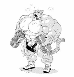 2018 anthro big_muscles big_pecs big_penis bodily_fluids breath clothing dumbbell fangs felid feline footwear genitals holding_object huge_cock huge_muscles hyper hyper_genitalia hyper_muscles hyper_penis male mammal monochrome muscular muscular_anthro muscular_male nipples open_mouth panting pecs penis plantigrade simple_background socks solo stagor55 standing sweat tail tongue tongue_out underwear vein veiny_penis weights white_background