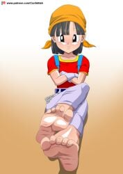 1girls bandana black_eyes black_hair confettish dragon_ball dragon_ball_gt feet feet_fetish foot_fetish light-skinned_female light_skin pan_(dragon_ball) relaxing smile smiling young young_female younger_female