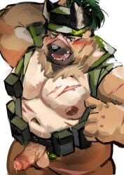 absurd_res anthro balls belly blush bodily_fluids brown_body brown_fur canid canine canis clothing domestic_dog erection fur genital_fluids genitals hat headgear headwear hi_res lifewonders male mammal musclegut muscular navel nipples pecs penis precum scar sicily440 solo tokyo_afterschool_summoners yasuyori_(tas)