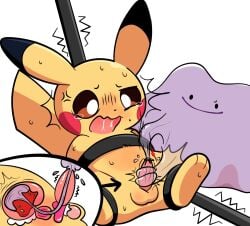 balls bladder_penetration blush bound ditto_(pokemon) duo erection feral fingering generation_1_pokemon genitals hi_res male nintendo open_mouth penetration penis pikachu plumflavor pokemon pokemon_(species) pokemon_only questionable_consent red_penis urethral urethral_fingering urethral_penetration yellow_body