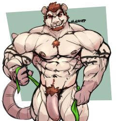 1:1 5_fingers abs anthro areola arm_tattoo armpit_hair barazoku barbell_piercing beard biceps big_muscles big_penis biped body_hair broad_shoulders brown_armpit_hair brown_beard brown_eyebrows brown_facial_hair brown_hair brown_pubes buckteeth chest_hair chest_tuft claws closed_smile deltoids digital_drawing_(artwork) digital_media_(artwork) ear_piercing ear_stud eyebrows facial_hair finger_claws fingers fist flaccid foreskin front_view fur genitals glans hair huge_muscles humanoid_genitalia humanoid_hands humanoid_penis industrial_piercing looking_at_viewer male male_anthro mammal manly mouth_closed murid murine muscular muscular_anthro muscular_arms muscular_male muscular_thighs navel nipple_barbell nipple_piercing nipples nude nude_anthro nude_male oldshep pecs penis piercing pink_areola pink_ears pink_glans pink_hands pink_nipples pink_nose pink_penis pink_tail portrait pubes quads rat red_eyes rodent shaded short_hair signature simple_background smile smiling_at_viewer solo standing tail tattoo teeth three-quarter_portrait timothy_"brofessor"_fessenden trapezius triceps tuft white_body white_fur