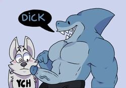 2021 anthro blue_body blush canid canine clothing dot_eyes duo erection fish fur genitals grey_body grey_fur humanoid_genitalia humanoid_hands humanoid_penis lewdookami male mammal marine penis shark underwear