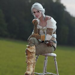 ciri from the witcher (series) by the vice art