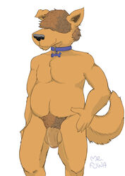 absurd_res anthro balls canid canine canis chubby_male collar deli_(delirost) domestic_dog fur genitals hi_res male mammal mr_fuwa nude penis pose scruffy simple_background solo yellow_body yellow_fur