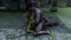 animated argonian argonian_female laying_down paizuri paizuri_lead_by_male reptile reptilian scalie tagme the_elder_scrolls the_elder_scrolls_v:_skyrim video