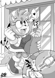 amy rose from sonic (series) by coolblue