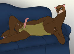 anatomically_correct anatomically_correct_genitalia anatomically_correct_penis animal_genitalia animal_penis anthro balls bedroom_eyes blue_eyes brown_body brown_fur domestic_ferret erection fur furniture genitals inviting long_neck looking_at_viewer lying male mammal mustela mustelid mustelid_penis musteline narrowed_eyes nude on_back pawpads paws penis pink_pawpads seductive sheath simple_background smile sofa solo tan_body tan_fur true_musteline whisker_spots yaroul