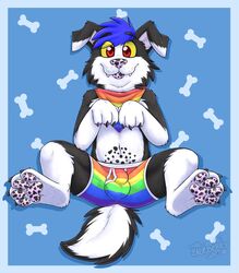 2021 anthro biped black_body black_ears black_fur blep blue_background blue_hair bone border bottomwear boxers_(clothing) canid canine canis cheek_tuft clothed clothing collie cute_fangs domestic_dog eyebrow_through_hair eyebrows facial_tuft feet floppy_ears foot_focus fur gaokun gay hair herding_dog hi_res inner_ear_fluff kerchief lgbt_pride male male_only mammal markings multicolored_body multicolored_clothing multicolored_ears multicolored_fur multicolored_kerchief multicolored_underwear partially_clothed pastoral_dog pawpads presenting_bulge pride_color_accessory pride_color_bandanna pride_color_bottomwear pride_color_clothing pride_color_kerchief pride_color_neckerchief pride_colors rainbow_clothing rainbow_flag rainbow_kerchief rainbow_pride_flag rainbow_symbol rainbow_underwear red_eyes sheepdog simple_background six-stripe_rainbow_pride_colors solo spots spotted_markings spotted_pawpads tongue tongue_out translucent translucent_hair tuft two_tone_body two_tone_ears two_tone_fur underwear white_body white_border white_ears white_fur white_inner_ear yellow_sclera