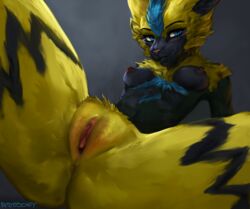 legendary pokemon from nintendo by ratatooey