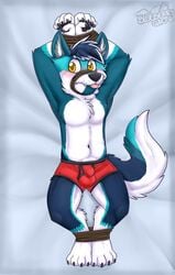 anthro arms_tied balls_outline biped blep blue_body blue_ears blue_fur blue_hair blush bound boxer_briefs briefs bulge canid canine clothed clothing cute_fangs detailed_bulge eyebrow_through_hair eyebrows fur gaokun genital_outline hair hand_behind_head hi_res inner_ear_fluff legs_tied looking_at_viewer male mammal multicolored_body multicolored_fur multicolored_hair partially_clothed red_clothing red_underwear sheath_outline simple_background solo tongue tongue_out translucent translucent_hair tuft two_tone_hair underwear watermark white_body white_fur white_hair white_inner_ear yellow_eyes