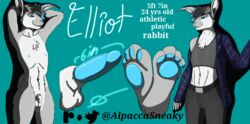 alpaccasneaky anthro athletic english_text genitals girly hi_res lagomorph leporid male mammal model_sheet nude paws penis rabbit solo text