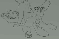 2021 2d ambiguous_gender ambiguous_penetrated anal anal_sex animated anthro ass balls bouncing_balls canid canine digital_drawing_(artwork) digital_media_(artwork) duo from_front_position fur genitals gif hi_res hindpaw legs_up lined looking_at_another looking_pleasured lying male male/ambiguous male_penetrating male_penetrating_ambiguous mammal missionary_position monochrome on_back open_mouth pawpads paws penetration penile penile_penetration penis penis_in_ass perineum rear_view sex short_playtime simple_background smile tail_motion tailwag unizxbra