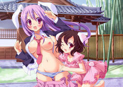 breasts brown_hair bunny_ear long_hair no_bra open_clothes open_shirt panties panty_pull purple_hair red_eyes reisen_udongein_inaba shirt short_hair striped striped_panties tewi_inaba touhou underwear undressing yayoi_and_nagi