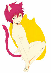 akatsuki_(naruto) androgynous animal_ears beige_skin cat_ears cat_tail catboy color grey_eyes kneeling looking_back male male_only naruto nipples nude pubic_hair red_hair sasori short_hair solo tail zukeban