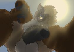 anthro balls fluffy genitals hi_res hyaenid macro male mammal megfluff penis perspective piercing solo