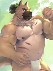 1boy 2021 3:4 anthro asian_clothing balls black_nose brown_body bulge canid canine canis clothing cute_fangs domestic_dog east_asian_clothing fundoshi genitals humanoid_hands japanese_clothing kemono lifewonders male male_only mammal musclegut navel nipples salz_sop solo tokyo_afterschool_summoners underwear video_games white_clothing white_fundoshi white_underwear yasuyori