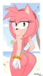 amy rose from sega by marbleousart