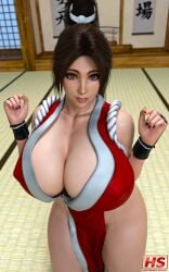 mai shiranui from fatal fury by hagiwara studio