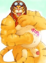 2010 anthro balls belly biped clothing felid flaccid genitals hat headgear headwear humanoid_genitalia humanoid_hands humanoid_penis japanese_text kemono male mammal moobs navel overweight overweight_male pantherine penis simple_background solo text tiger unknown_artist