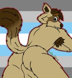 :3 anthro armpit_hair ass backsack balls biped body_hair brown_body brown_eyes brown_fur brown_hair brown_nose cute_fangs demiboy_pride_colors digital_media_(artwork) dipstick_tail domestic_ferret eyebrow_through_hair eyebrows fangs fur genitals hair hi_res hybrid inner_ear_fluff leaning lgbt_pride looking_at_viewer looking_back looking_back_at_viewer male mammal markings multicolored_tail mustela mustelid musteline nude perineum presenting presenting_hindquarters pride_color_background pride_colors procyonid raccoon raised_tail simple_background smile smiling_at_viewer snoiller_fitzroy snoiller_fitzroy_(artist) solo solo_male tail_markings tan_body tan_fur teeth translucent translucent_hair true_musteline tuft