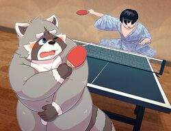 2021 anthro asian_clothing balls belly blue_eyes blush clothing detailed_background duo east_asian_clothing fur genitals grey_body grey_fur hi_res human humanoid_hands japanese_clothing k_gutless kemono male mammal navel overweight overweight_male ping_pong procyonid raccoon table_tennis table_tennis_paddle