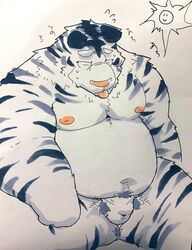 2021 anthro asian_clothing balls_outline belly bulge closed_eyes clothing east_asian_clothing felid fundoshi genital_outline hi_res japanese_clothing kemono male mammal moobs navel nipples outside overweight overweight_male pantherine pubes solo suishou0602 sun tiger tongue tongue_out underwear white_body white_clothing white_fundoshi white_underwear