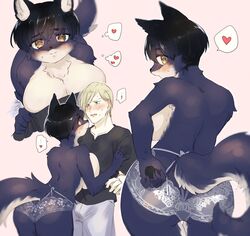 ! anthro ass big_breasts black_hair blonde_hair blue_body blue_eyes blue_fur blush breast_squish breasts canid canine canis clothed clothing duo female fur hair heart hi_res htg92_(artist) human human_on_anthro inner_ear_fluff interspecies kemono lingerie looking_at_another looking_at_viewer male male/female mammal orange_eyes panties shaded short_hair squish tuft underwear underwear_only white_body white_fur wolf