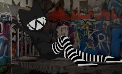 Shadow Cat (Thatghkatkat) Rule 34 Image