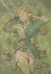korok from nintendo by luxica