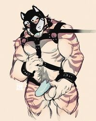 absurd_res animal_mask anthro balls beard bearlyfeline bedroom_eyes biceps blue_penis body_hair bondage brown_stripes collar facial_hair felid fingernails forked_tongue fur genitals happy_trail harness hi_res holding_balls leash male mammal mask musclegut muscular muscular_anthro muscular_male nails narrowed_eyes nipples nude open_mouth pantherine pecs penis petplay pubes pup_mask quads roleplay seductive simple_background solo striped_body striped_fur stripes tan_body tan_fur tiger tongue tongue_out wrist_cuff