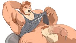 anthro balls bara bear furry gay male male_only muscles muscular penis spookeedoo