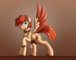 2021 absurd_res animal_genitalia animal_penis balls blue_eyes brown_body brown_feathers brown_hair capseys collar cutie_mark equid equine equine_penis fan_character feathered_wings feathers feral fetlocks flaccid flair_(oc) flared_penis genitals hair hasbro hi_res hooves male mammal medial_ring my_little_pony pegasus penis quadruped smile solo standing two_tone_wings wings