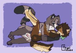 anthro canid canine canis domestic_dog duo female genitals german_shepherd hair herding_dog hi_res kaeptn_fick_dich_(punkt.punkk) kennedy_(punkt.punkk) kissing kissing_while_penetrated kissing_while_penetrating legs_up long_hair lying male male/female mammal mullet pastoral_dog penetration penis procyonid pussy raccoon sex side_view