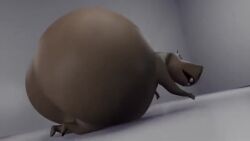 ass_bigger_than_head ass_expansion ass_focus ass_shake belly_bulge belly_expansion belly_growth belly_inflation butt_expansion butt_inflation gloria_the_hippopotamus growing hippopotamus illis madagascar_(series) tagme uneven_growth video