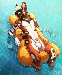 african_wild_dog animal_genitalia animal_penis anthro balls biped black_nose canid canine countershade_legs countershade_torso countershading eyewear eyewear_only fangs fur genitals hi_res male mammal multicolored_body nude partially_submerged penis penis_tip pool_(disambiguation) pool_float pool_toy shetah solo spots spotted_body spotted_fur sunglasses sunglasses_only tazara water