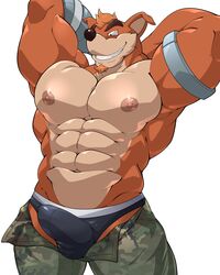 abs absurd_res activision anthro bandicoot big_muscles big_pecs bottomwear bulge camo camo_print clothed clothing crash_(series) crunch_bandicoot genital_outline hi_res maldu male male_only mammal marsupial muscular muscular_anthro muscular_male nipples pants pecs penis_outline solo topless underwear video_games