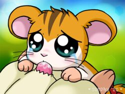 blush bodily_fluids cricetid cum cum_in_mouth cum_inside duo female fur genital_fluids hamster hamtaro_(series) male male/female mammal oral orange_body orange_fur rodent sandy_(hamtaro) suephy tears white_body white_fur