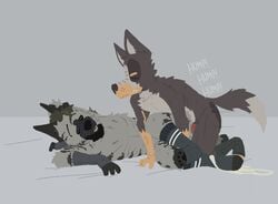 anal anal_sex anthro armwear athletic athletic_anthro big_dom_small_sub canid canine canis clenched_teeth clothing domestic_dog dominant duo footwear hyaenid male male/male mammal penetration ricthecusco size_difference socks striped_hyena teeth whiskers