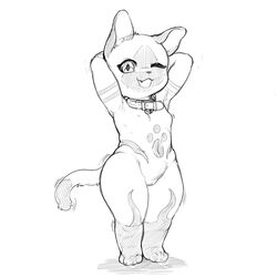 anthro breasts capcom collar dancing featureless_breasts felid felyne female fur fur_markings genitals hands_behind_head hi_res looking_at_viewer lynian mammal markings monster_hunter mostly_nude no_nipples one_eye_closed palico pussy rapel small_breasts smile solo video_games wide_hips