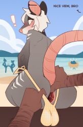 2boys 2males absurd_res american_opossum anthro anus ass ass_focus background_character balls beach clothing digital_media_(artwork) disembodied_hand duo favorite_of_godlostme2 femboy fur gaping gaping_anus gay genitals grey_body grey_fur hair hi_res looking_at_viewer looking_back male male/male nepentz outside ozzie_(nepentz) pov rat_tail rear_view sand seaside sky snout spread_anus spread_butt spreading swimwear tail text water