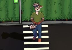 anthro clothing crosswalk embarrased_horny embarrassed erection erection_under_clothing hi_res humiliation hyena kiwiscribbles male mammal public public_erection public_humiliation sidewalk solo