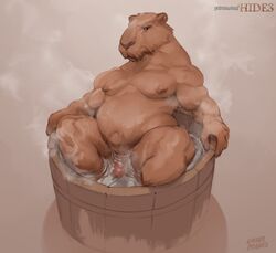 1boy 2021 anthro bathtub biped brown_body brown_fur capybara caviid digital_media_(artwork) fur genitals laser_(artist) looking_at_viewer male male_only mammal musclegut muscular muscular_anthro muscular_male partially_submerged pecs penis rodent simple_background solo white_background