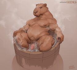 1boy 2021 anthro bathtub biped brown_body brown_fur capybara caviid digital_media_(artwork) fur genitals humanoid_genitalia humanoid_penis laser_(artist) looking_at_viewer male male_only mammal musclegut muscular muscular_anthro muscular_male partially_submerged pecs penis rodent simple_background solo white_background