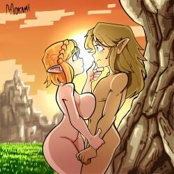 link from nintendo by srmoka