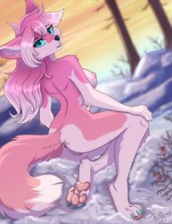 anthro anus ass blue_eyes breasts furry ketty nipples nude nude_female pink_fur pink_hair pussy white_fur