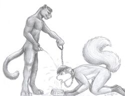 2003 abe anthro bodily_fluids chains collar dominant dominant_male felid genital_fluids genitals kneeling male male/male mammal moodyferret pantherine peeing peeing_into_bowl peeing_on_another peeing_on_head penis pet_bowl standing standing_pee submissive submissive_male urinating urinating_male urination urine urine_stream watersports