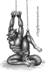 2000 Rule 34 Image