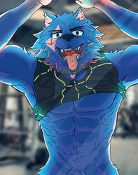 abs absurd_res anthro art) canid canine canis clothing collar domestic_dog erection feral genitals gym hi_res humanoid male male/male mammal muscular pecs penis shirt solo tank_top tetsu(zartty topwear wolf zartty_art