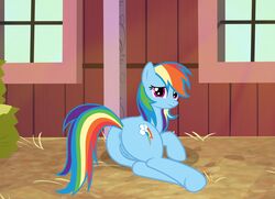 animal_genitalia animal_pussy ass equid equine equine_pussy female friendship_is_magic genitals hasbro hi_res horse mammal my_little_pony nardo_(artist) pony pussy rainbow_dash_(mlp) solo straight_hair